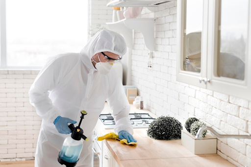 Mold Remediation Services